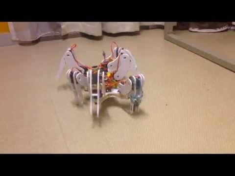 Hexapod trial version 1.0 - EE-321