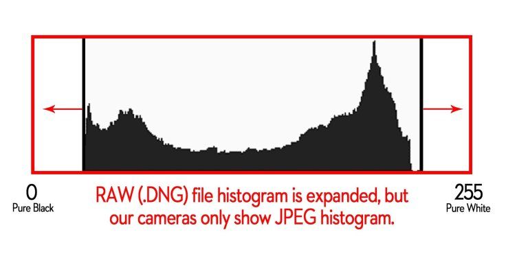 Histogram-Explain-Raw.jpg