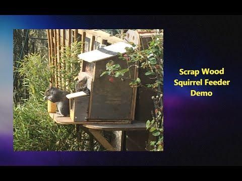 Homemade Squirrel Feeder Demo