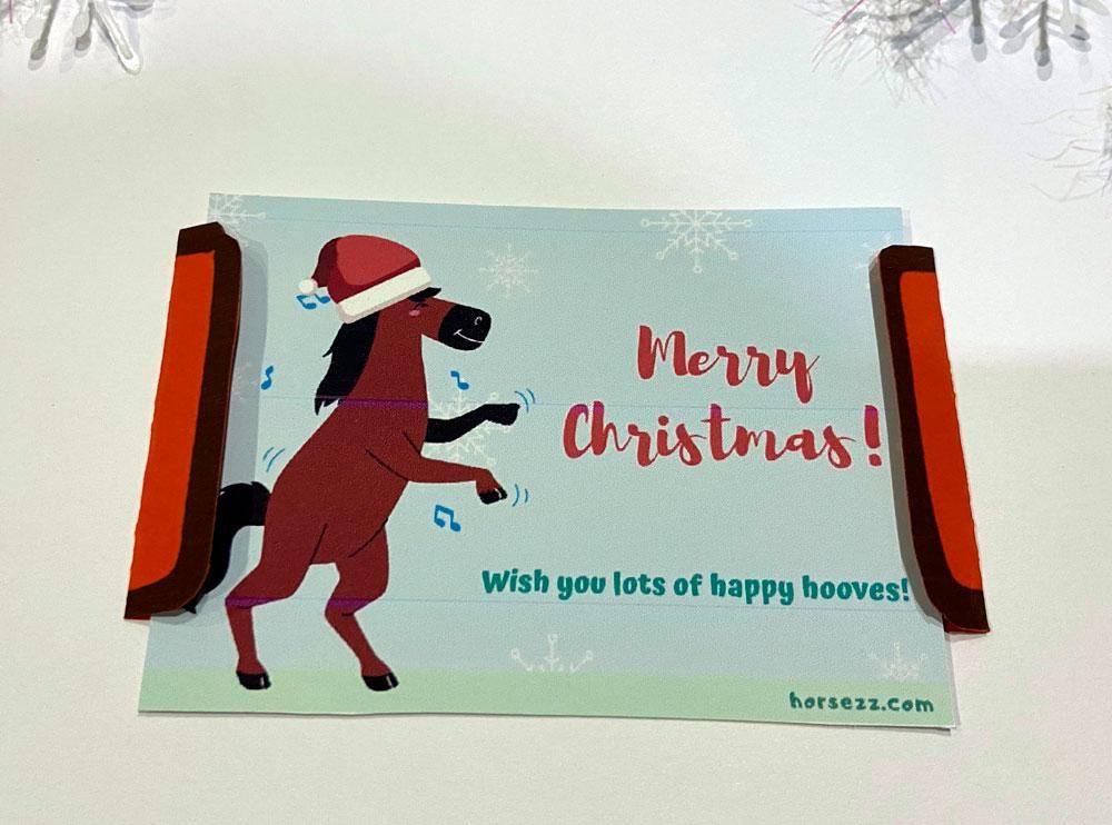 Horse-Christmas-Stocking-5.jpg