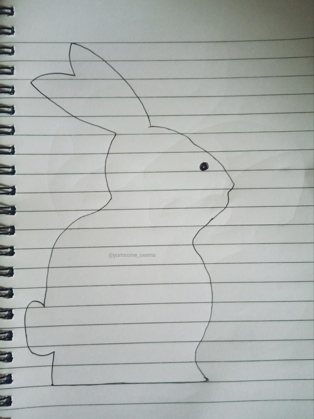 How to draw easy rabbit outline.jpg