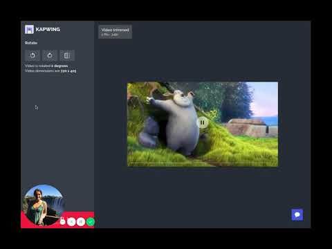 How to rotate and flip videos online