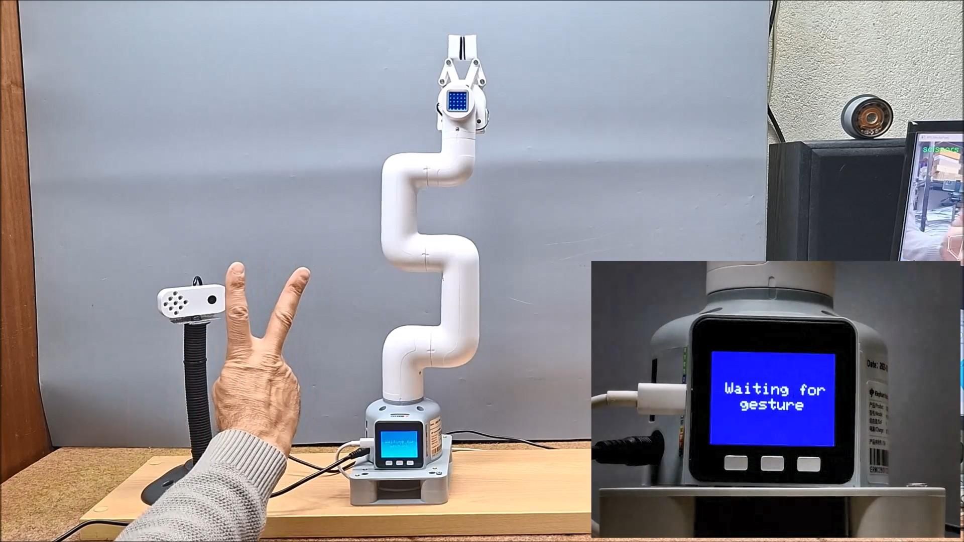 Human Gesture.jpg