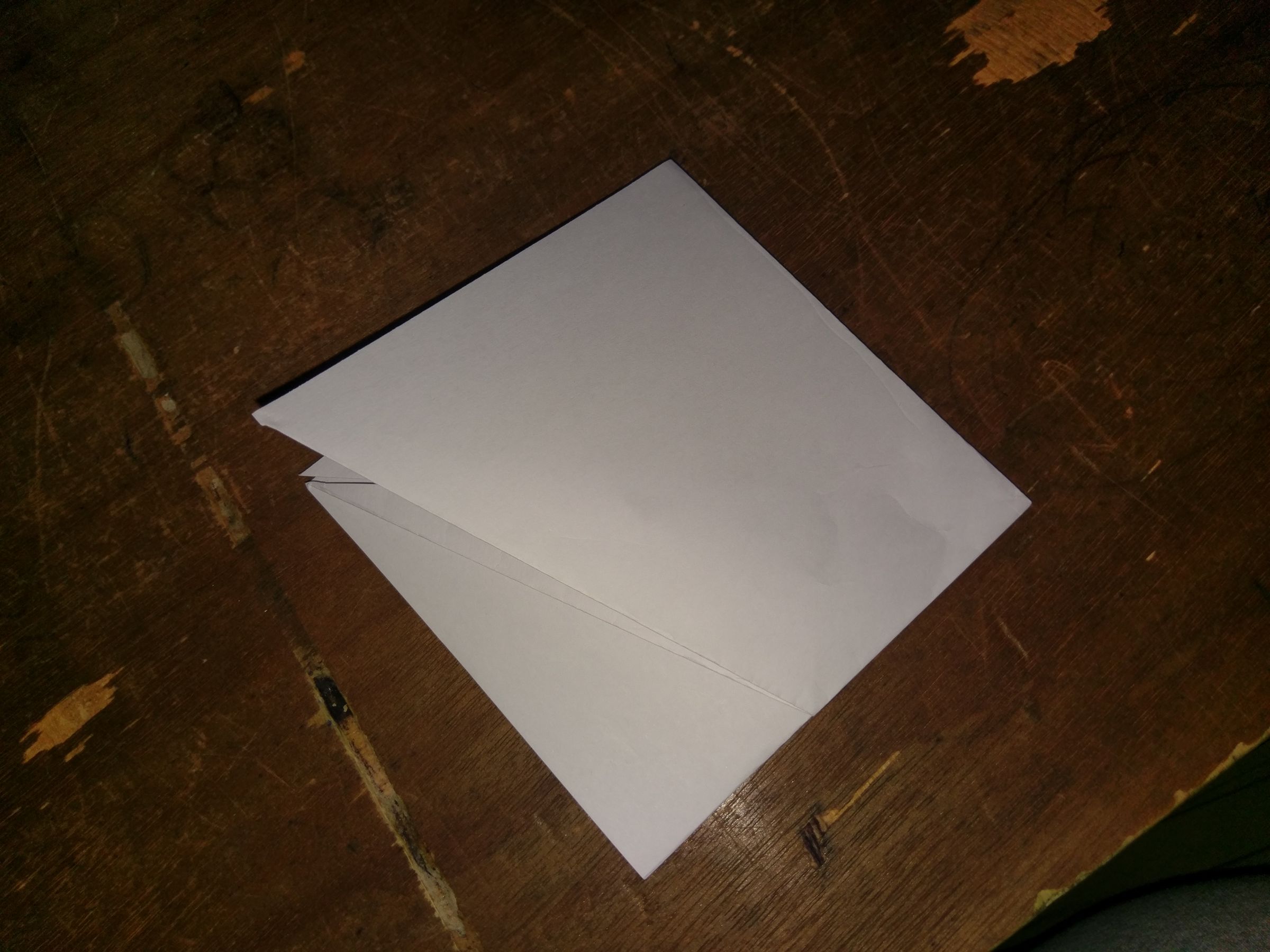 IMAG0229.jpg