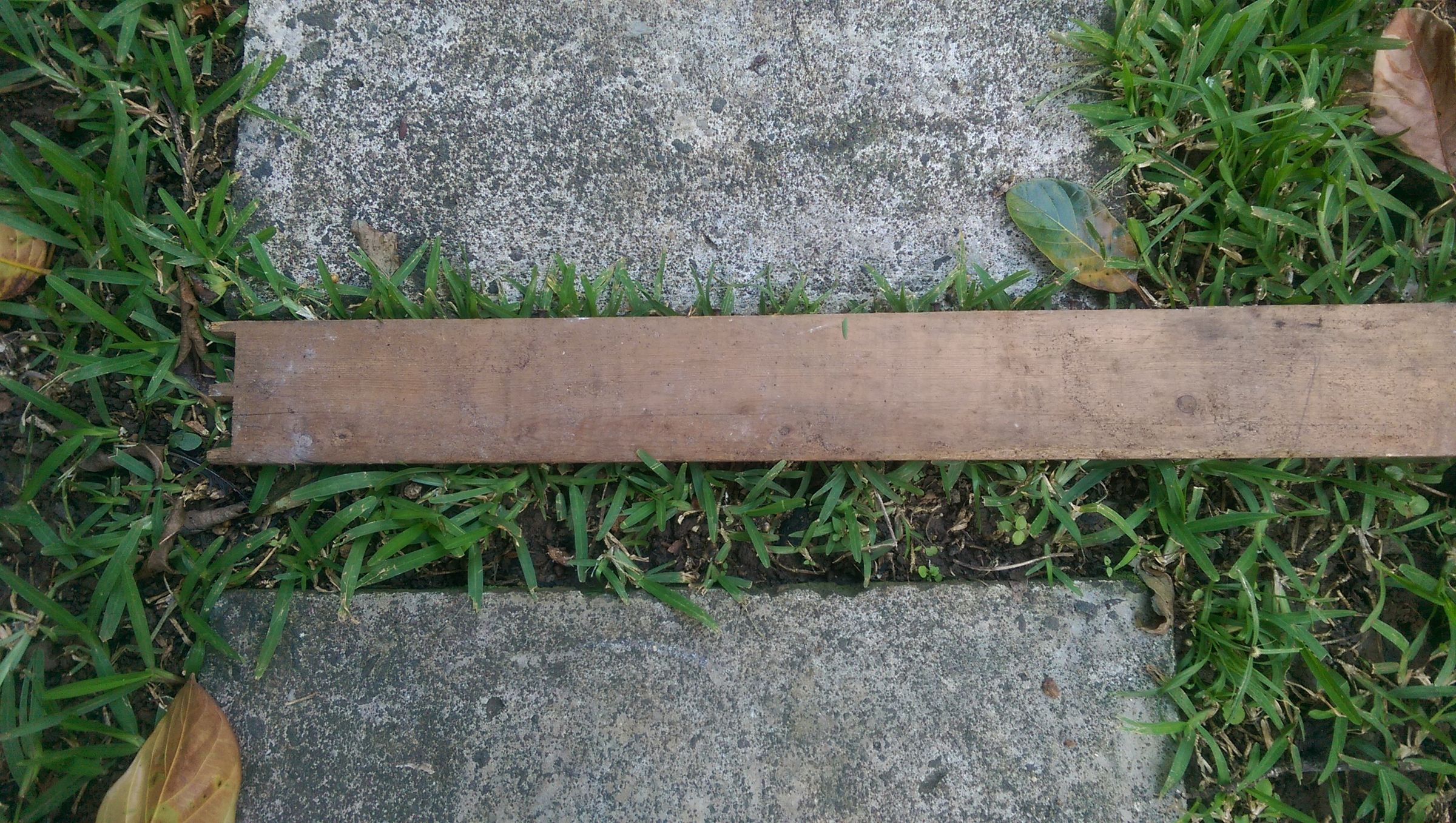 IMAG0469.jpg