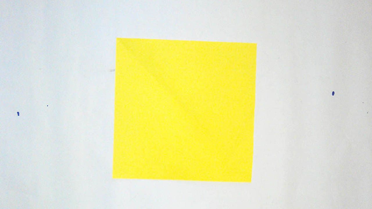 IMAG0614.jpg