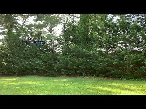IMG 1431