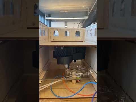 IMG 2365