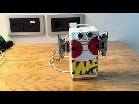 IMG 2951