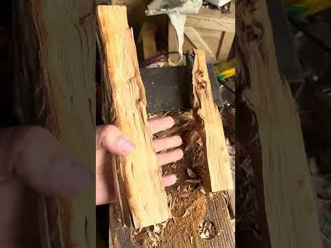 IMG 3592