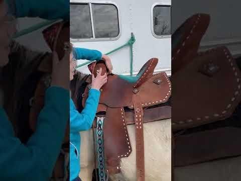 IMG 71601
