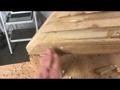 IMG 8764