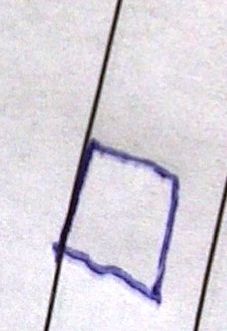 IMG-20171115-00929.jpg