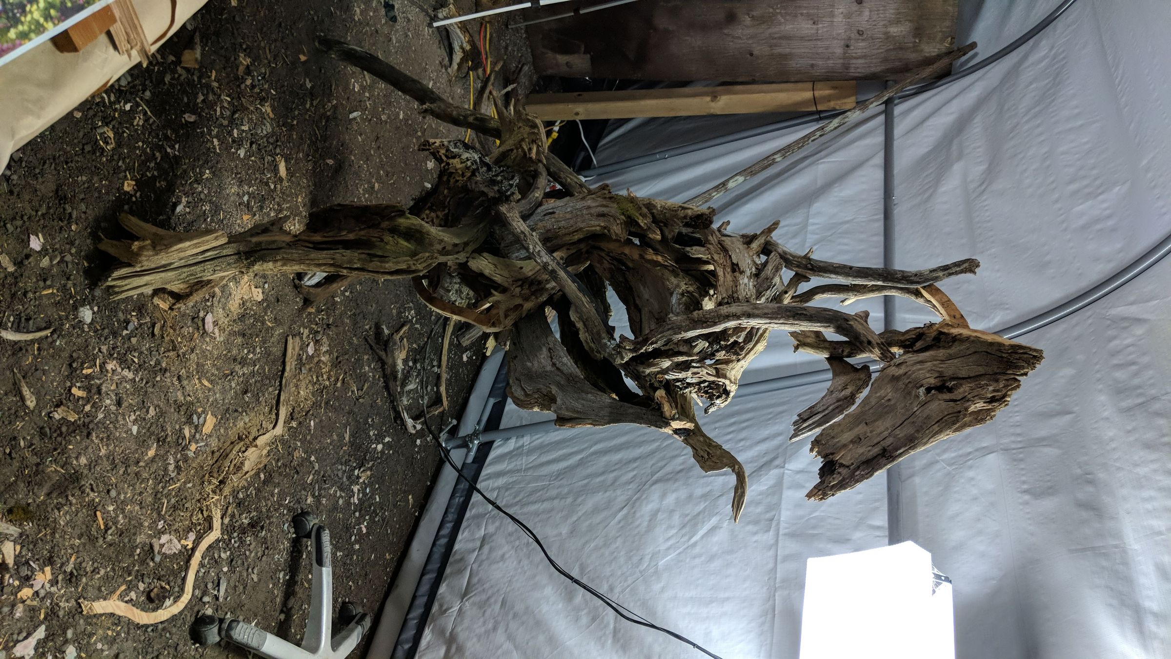 IMG-20180823-WA0013.jpg
