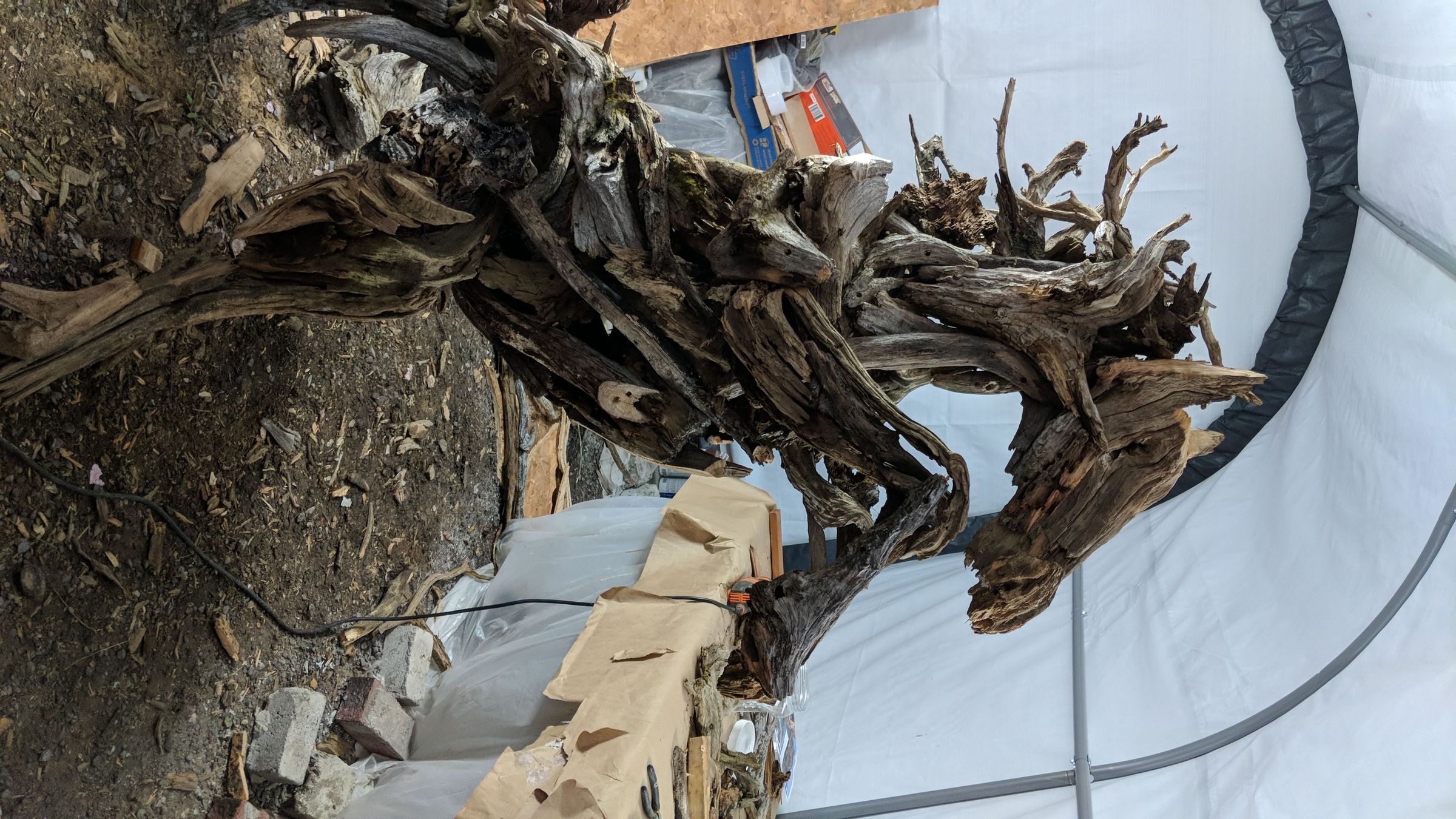IMG-20180824-WA0011.jpg