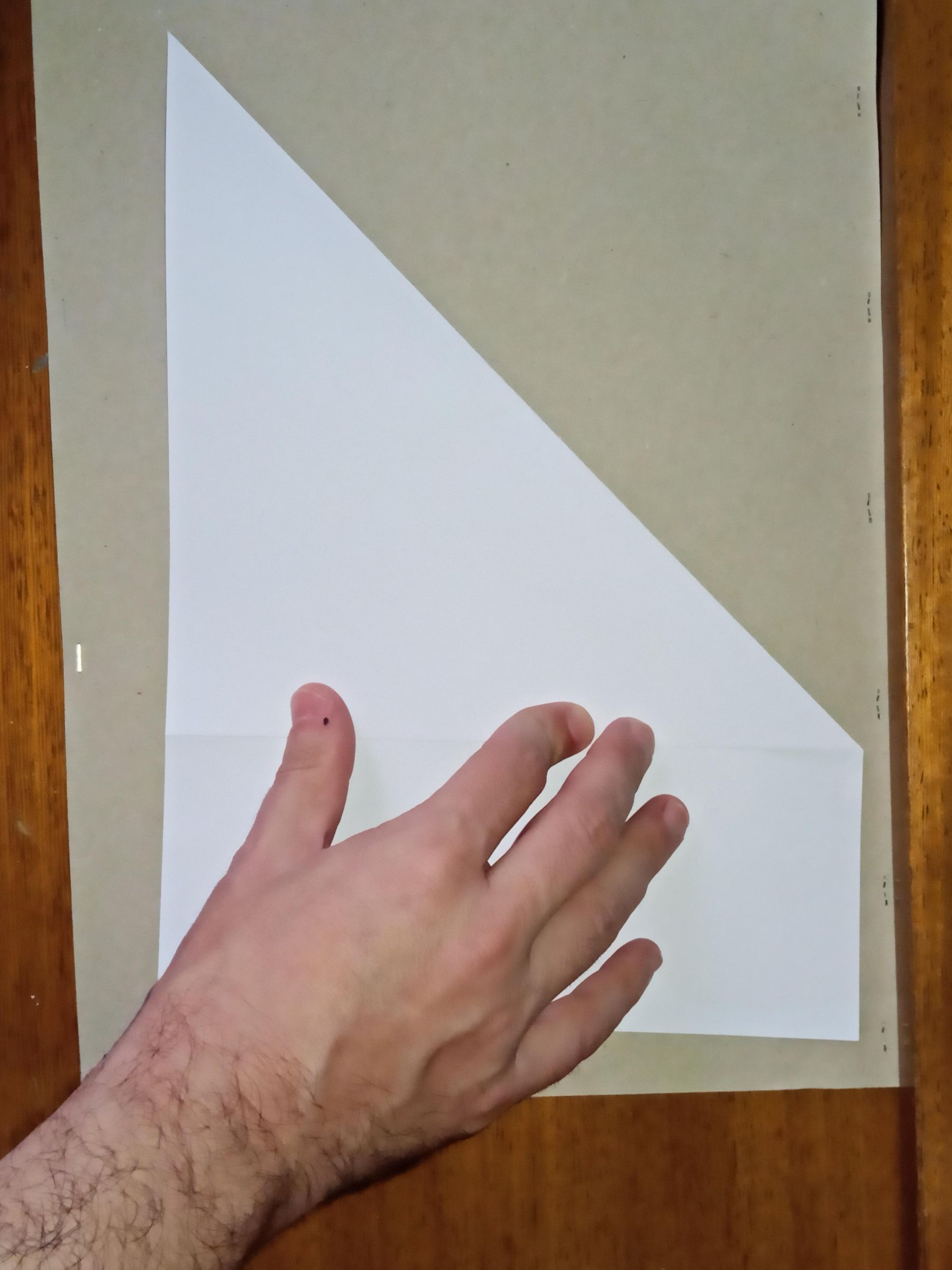 IMG20250302083916.jpg