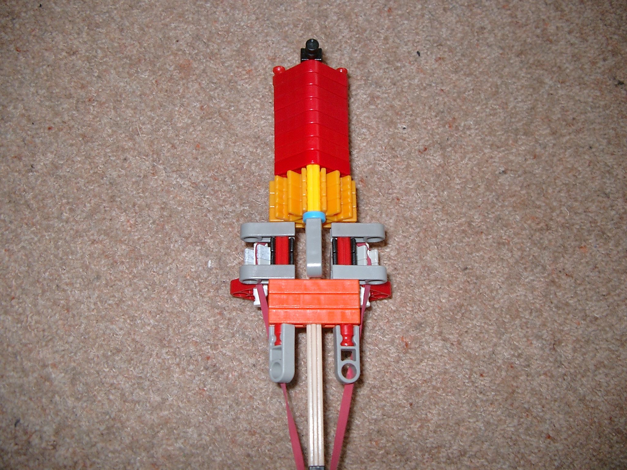 IMGP4503.JPG