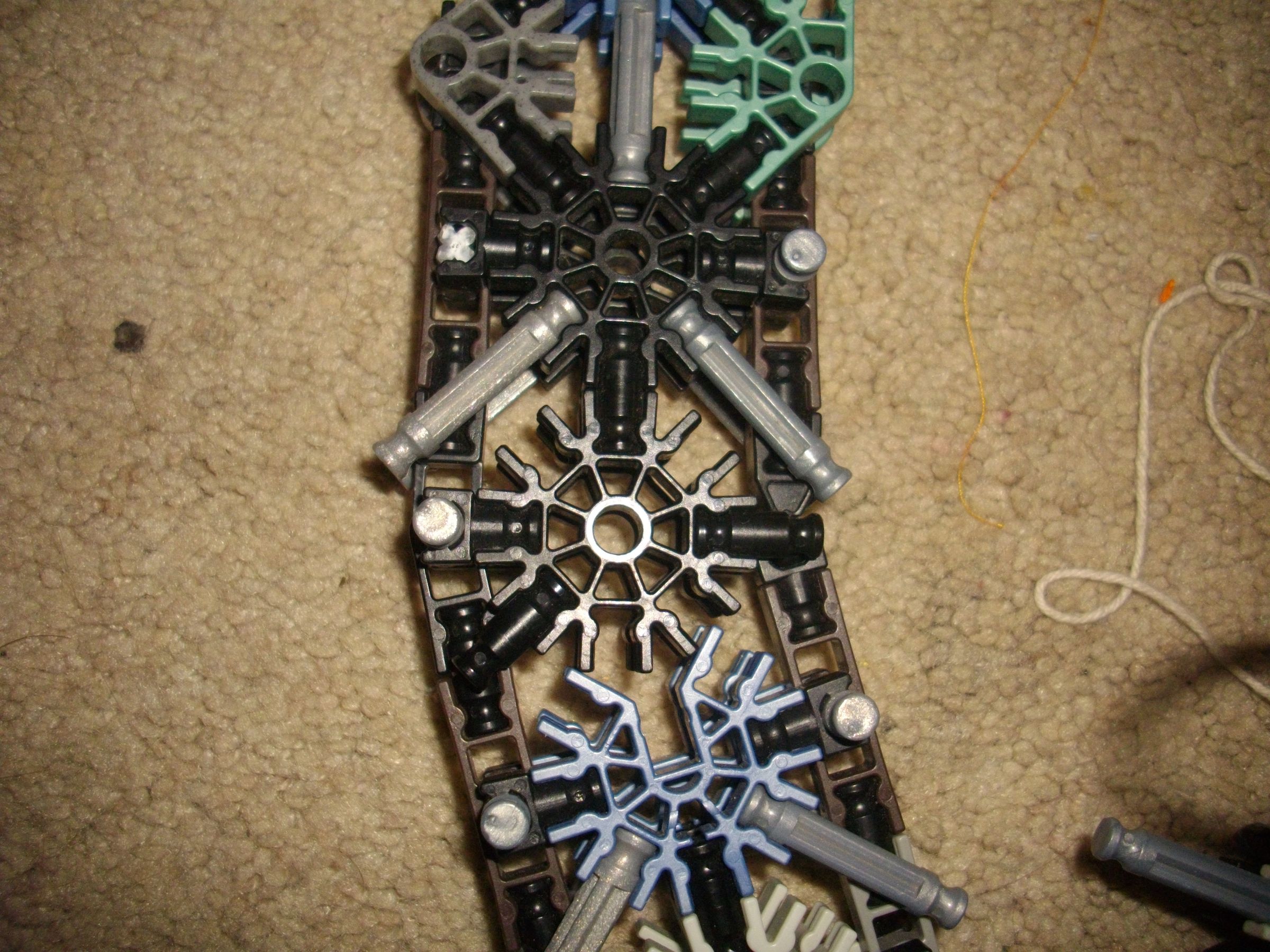 IMGP4507.JPG
