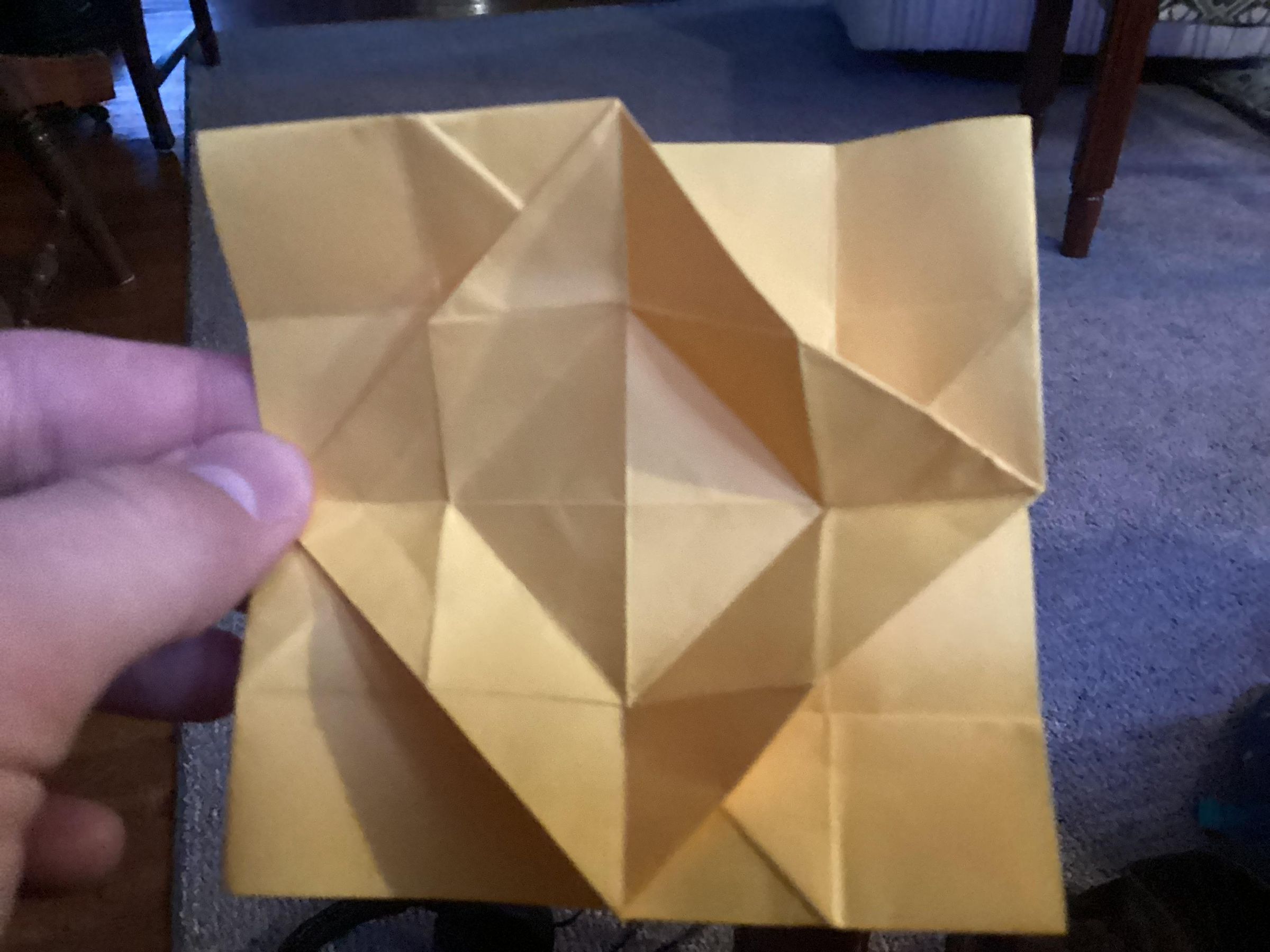IMG_0143.jpeg