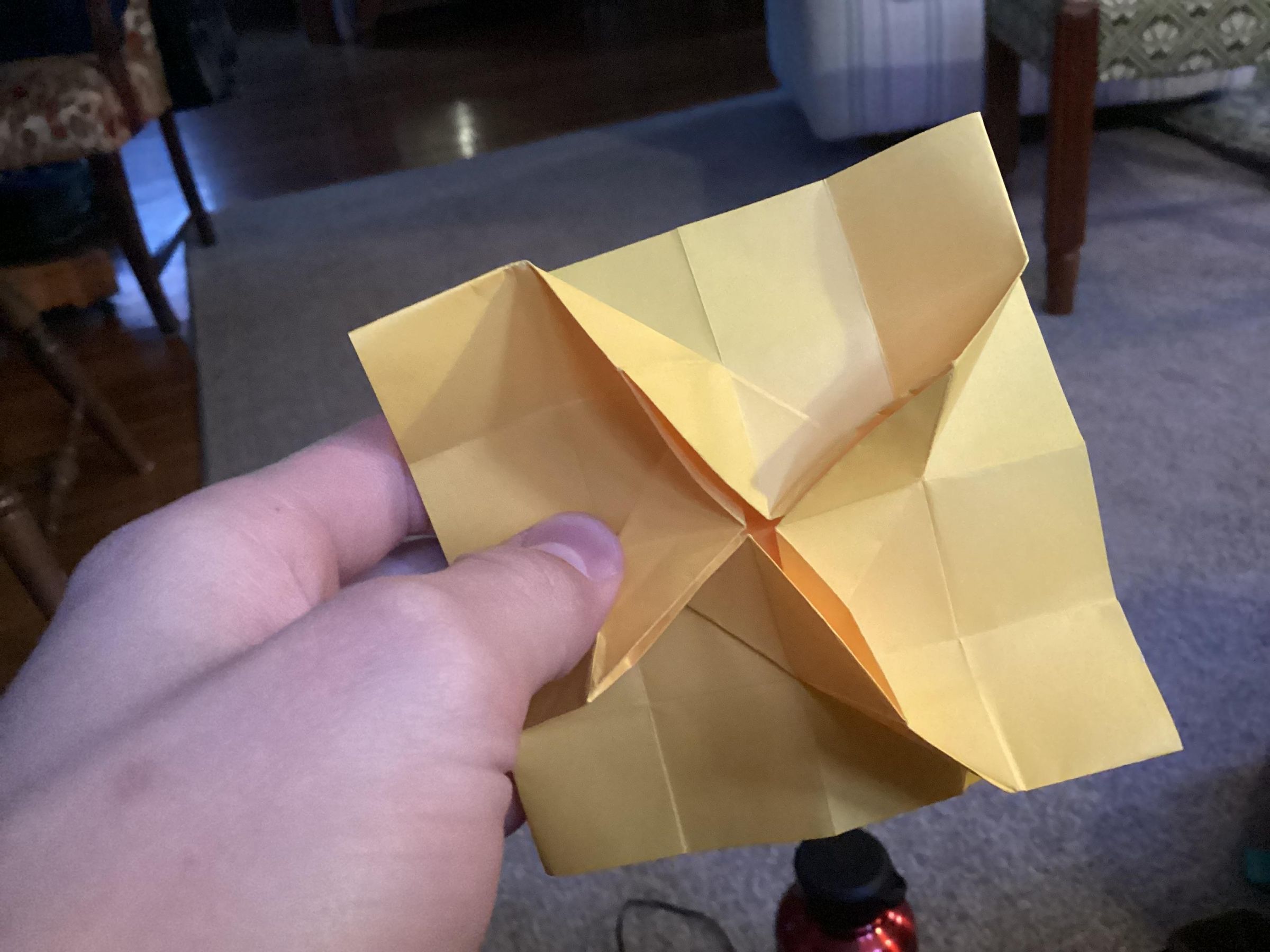 IMG_0146.jpeg