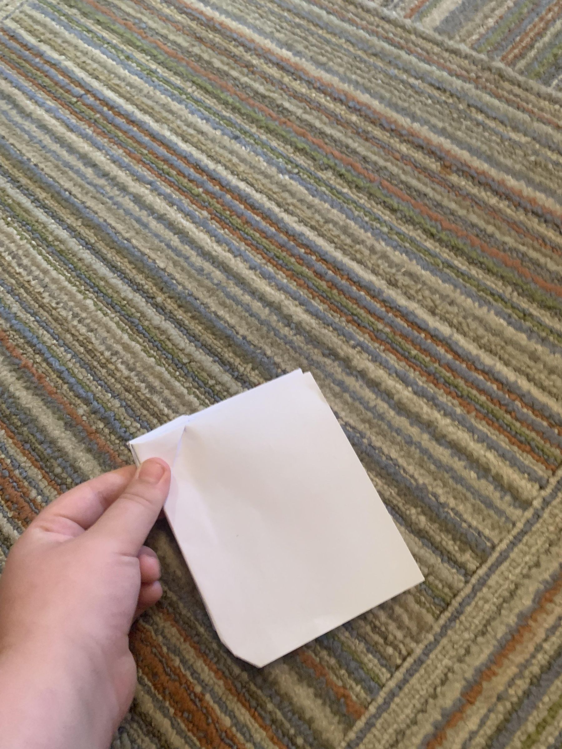 IMG_0166.jpeg