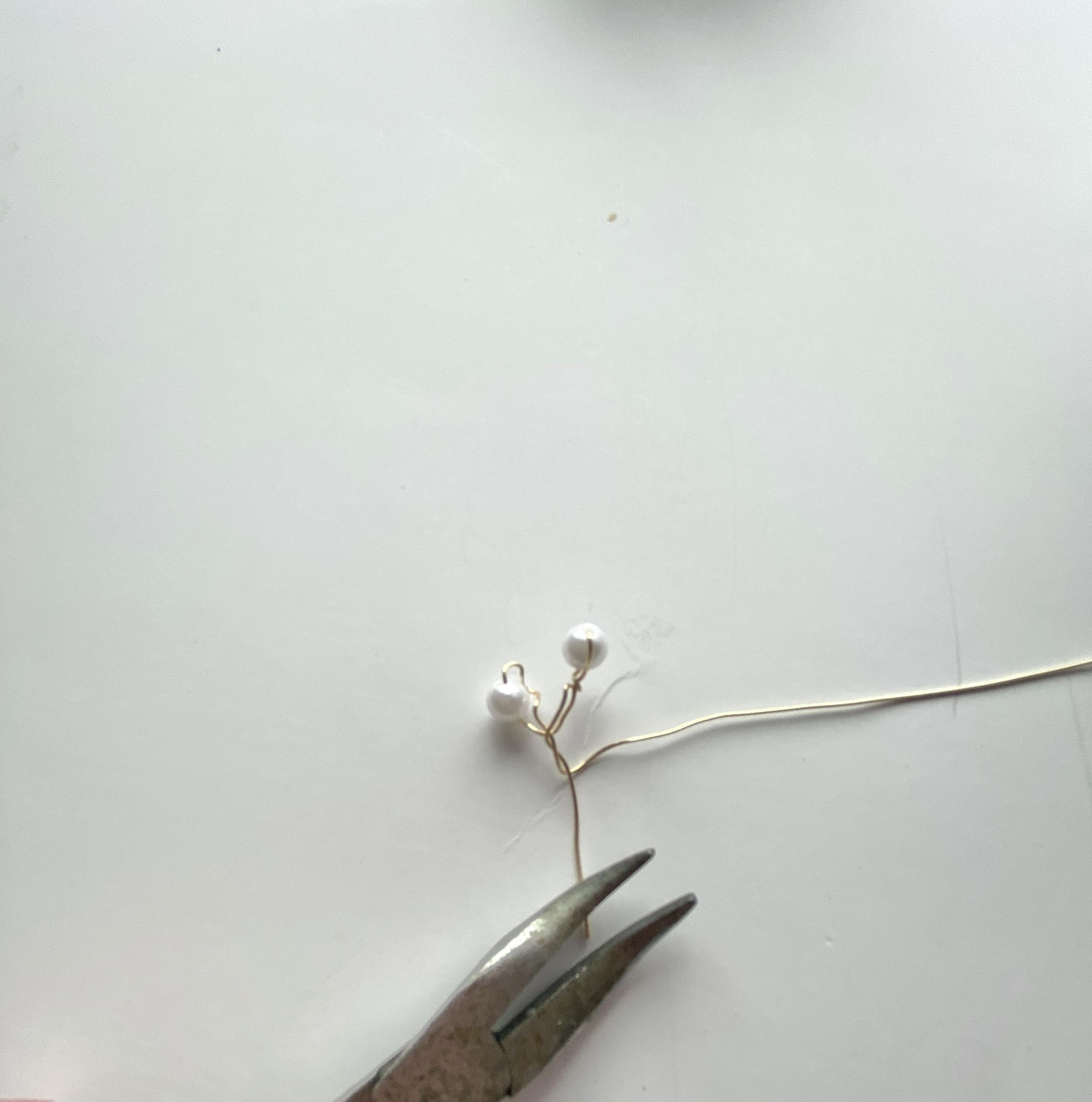 IMG_0209.jpeg