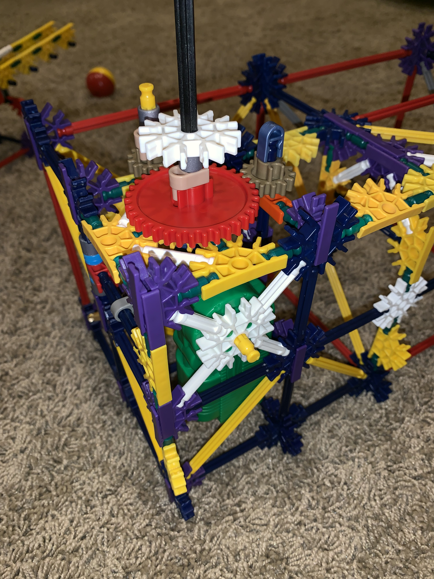 IMG_0229.png