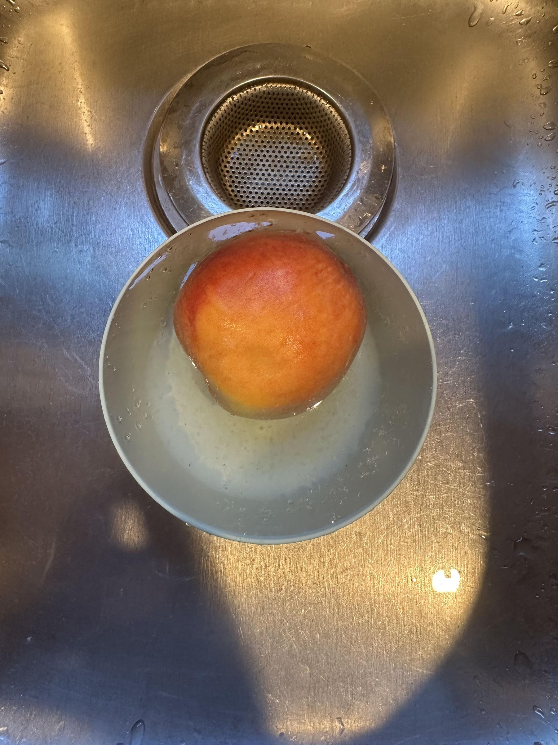IMG_0230.jpeg