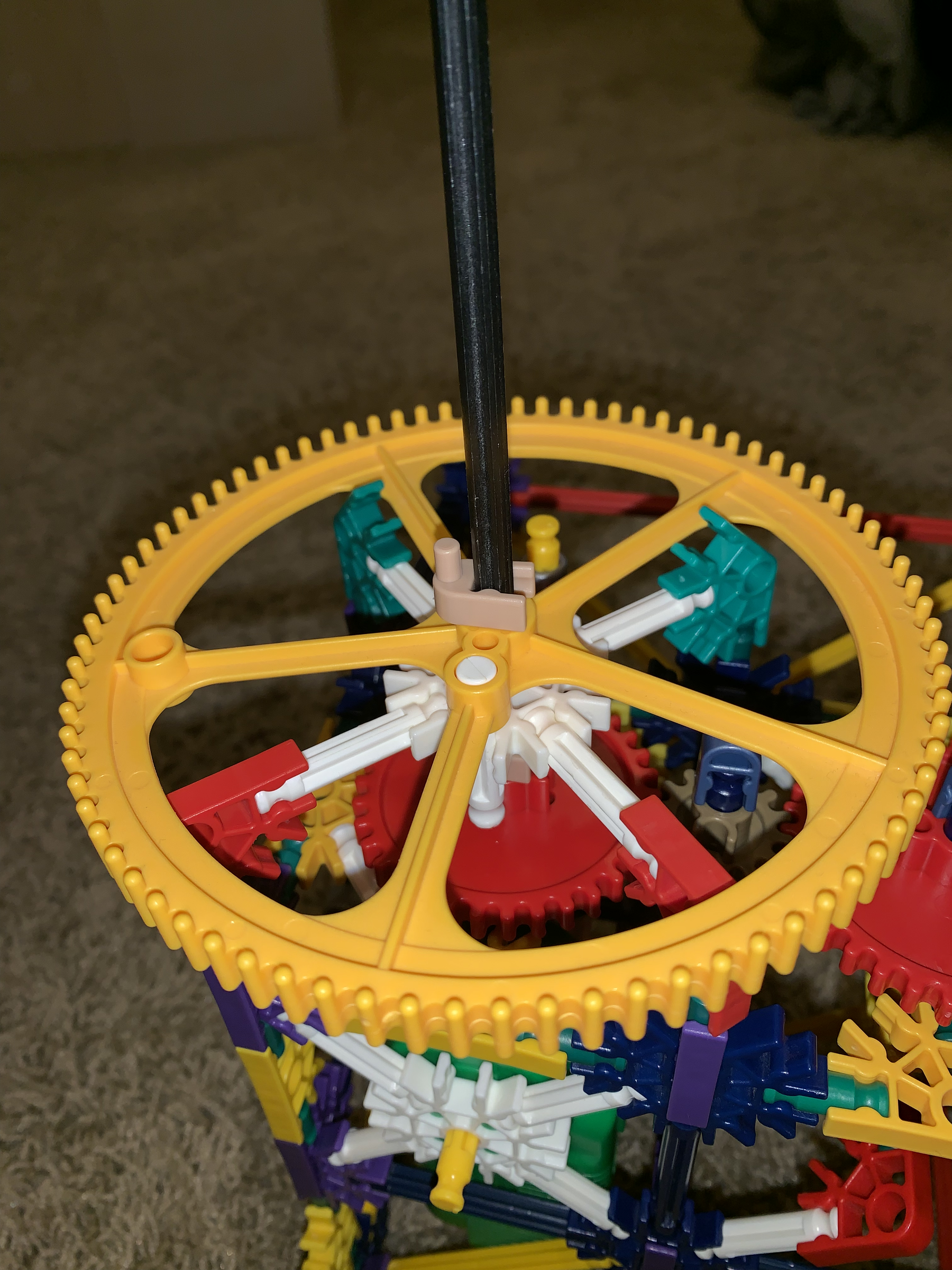 IMG_0259.png