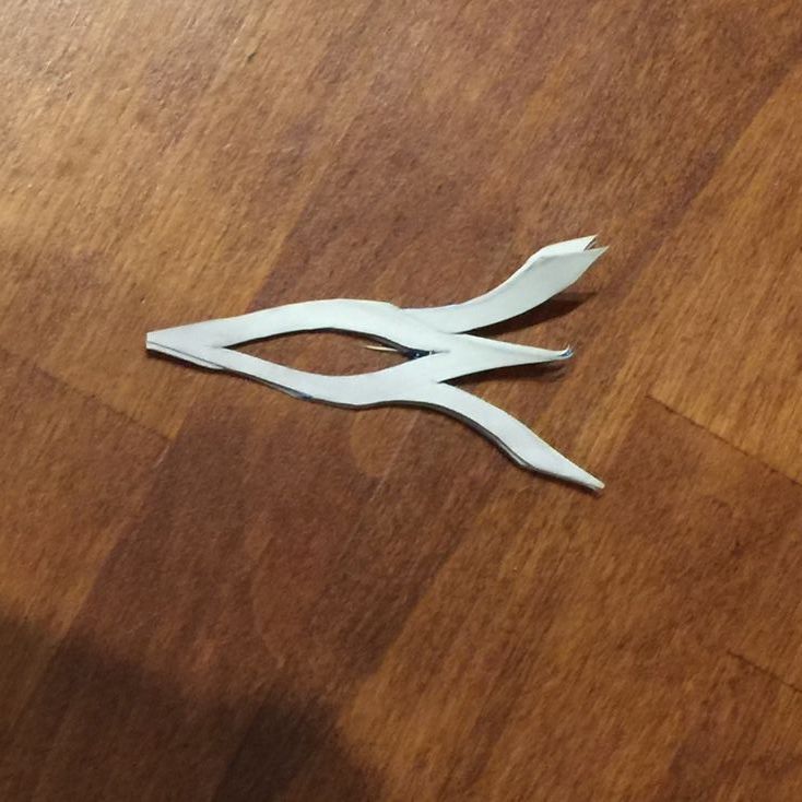 IMG_0369.JPG