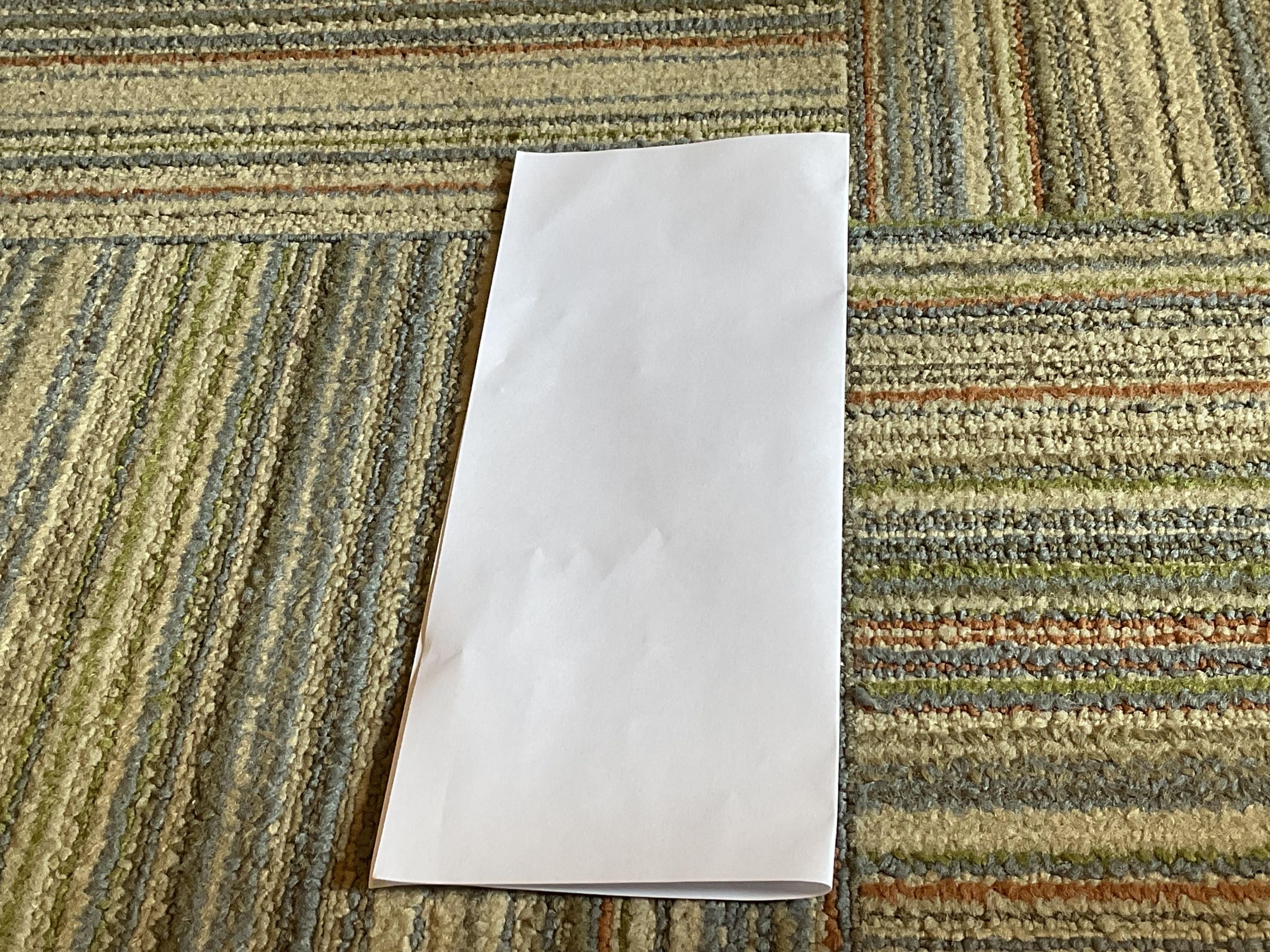 IMG_0496.jpeg