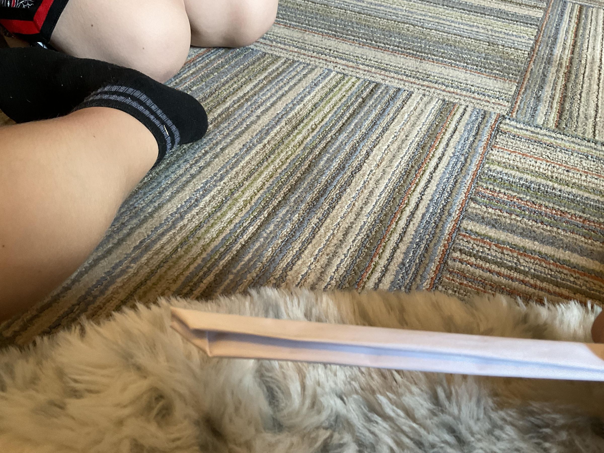 IMG_0502.jpeg