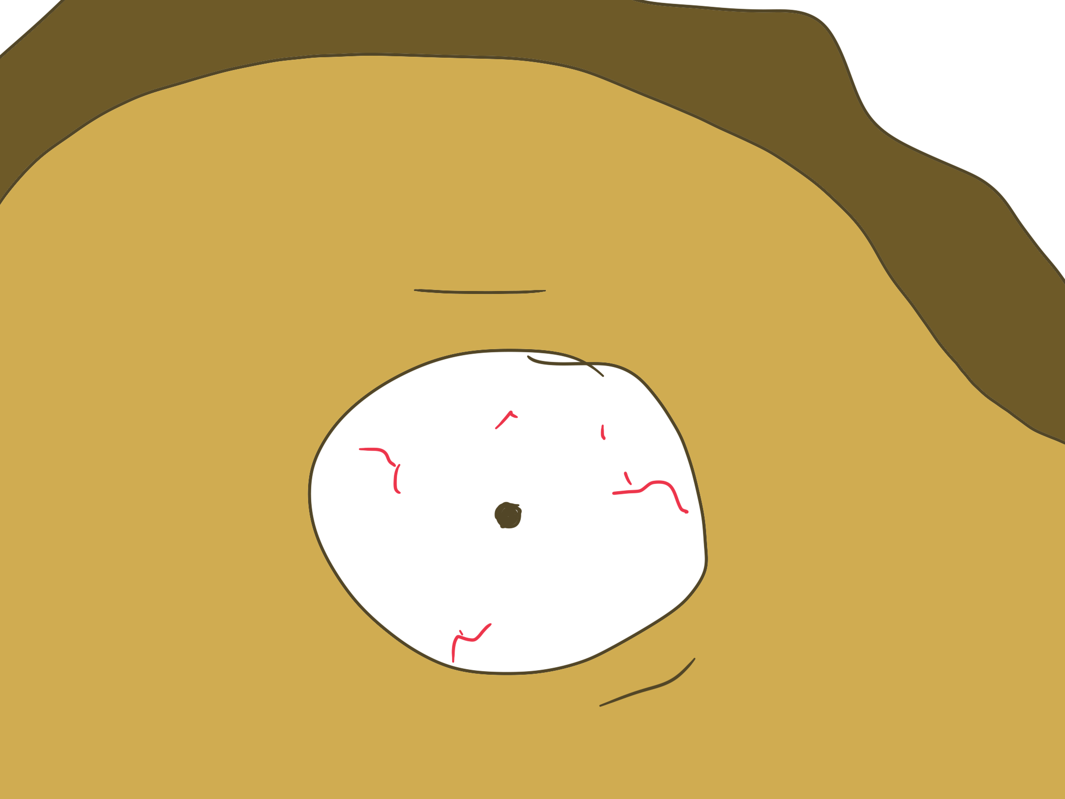 IMG_0737.png