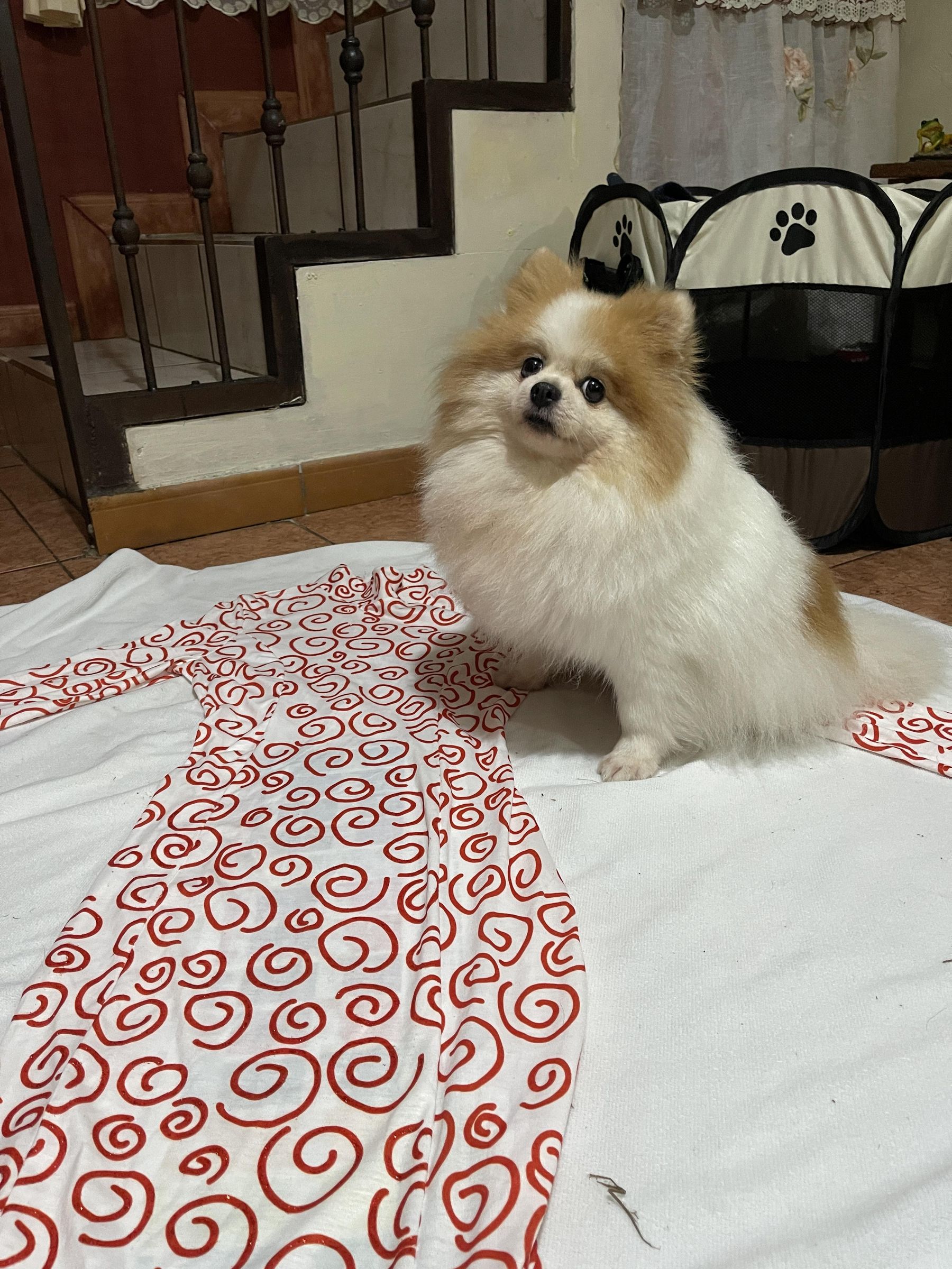 IMG_0771.jpeg