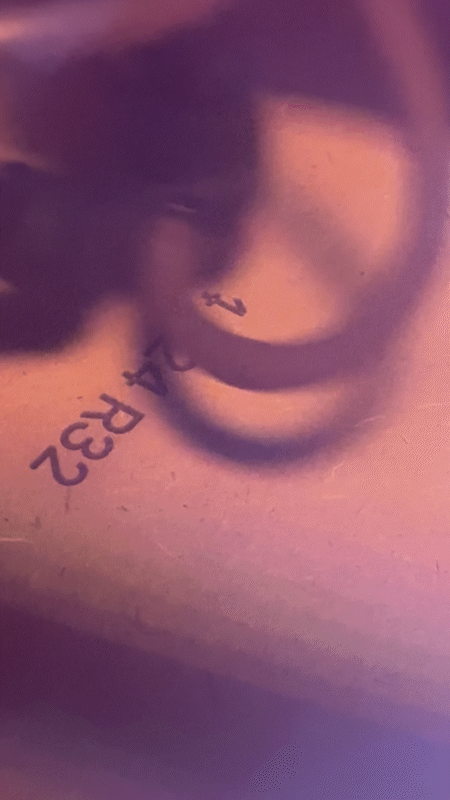 IMG_0901_1.gif