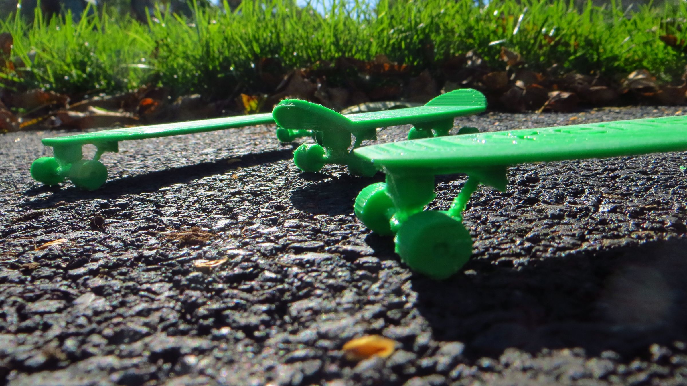 IMG_0952.JPG