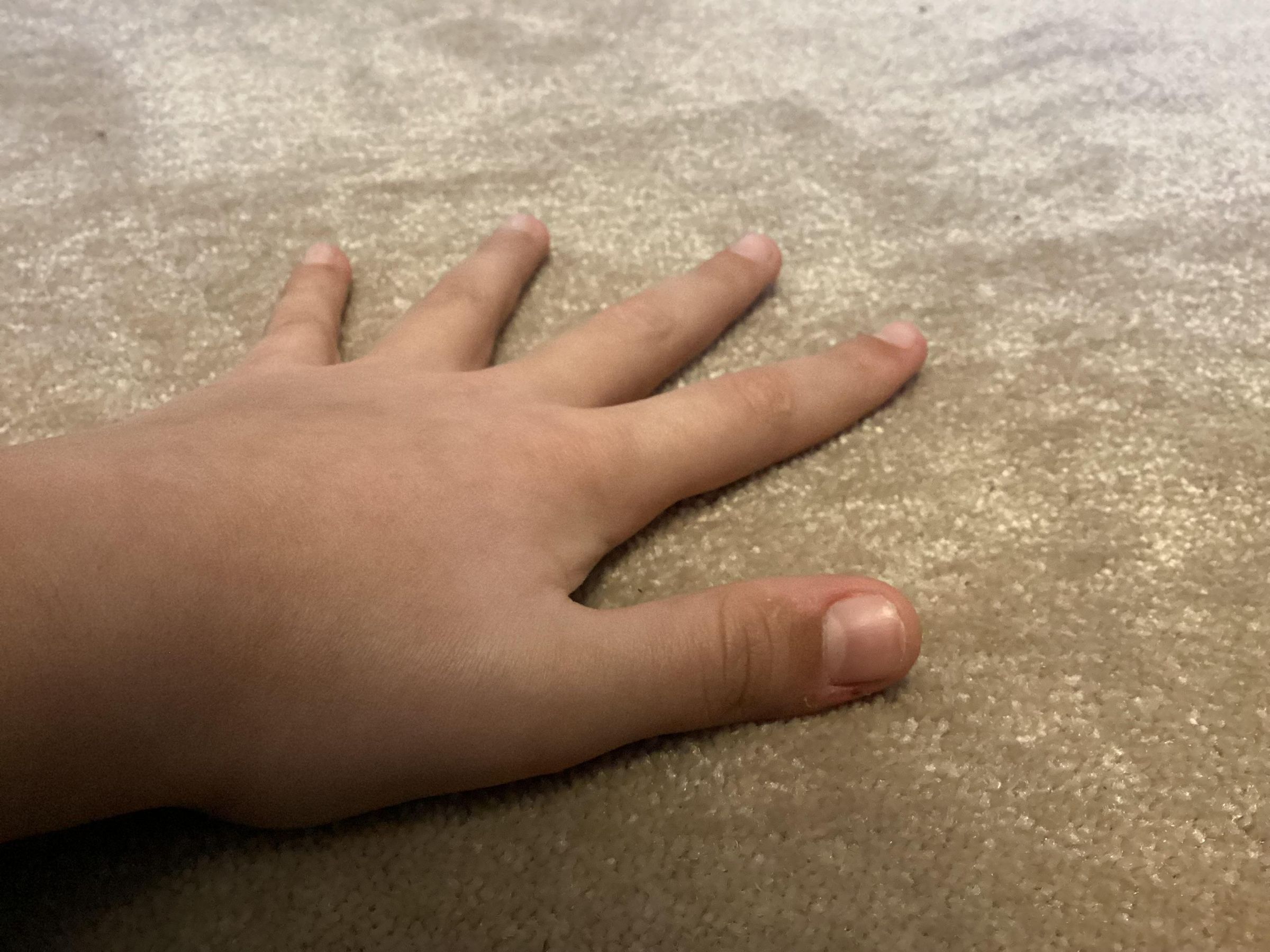 IMG_1297.jpeg