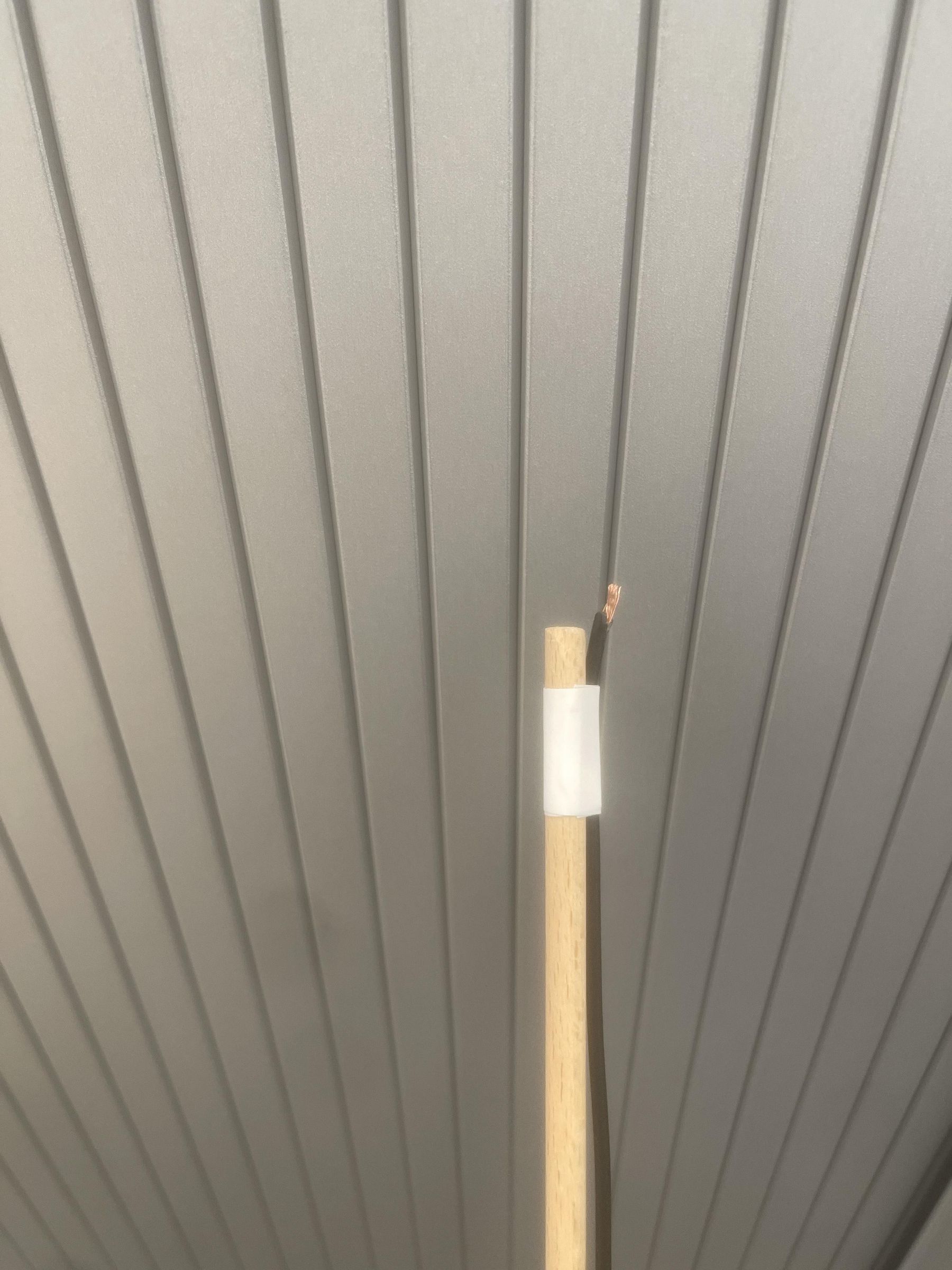 IMG_1364.jpeg