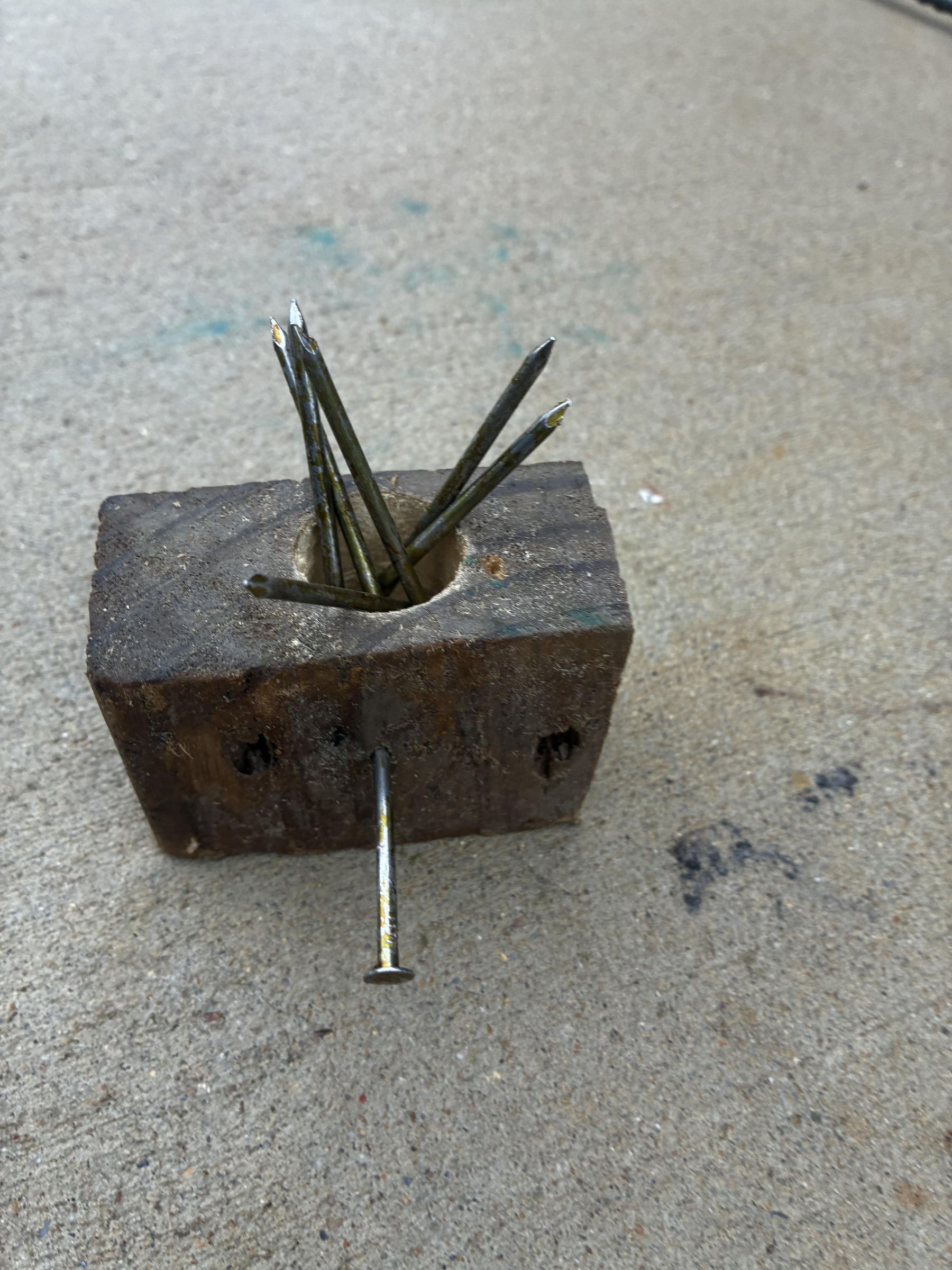 IMG_1529.jpeg