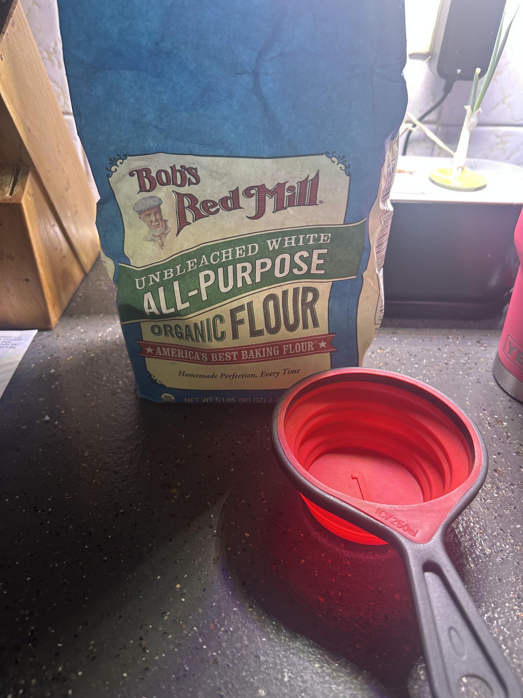 IMG_1973.jpeg