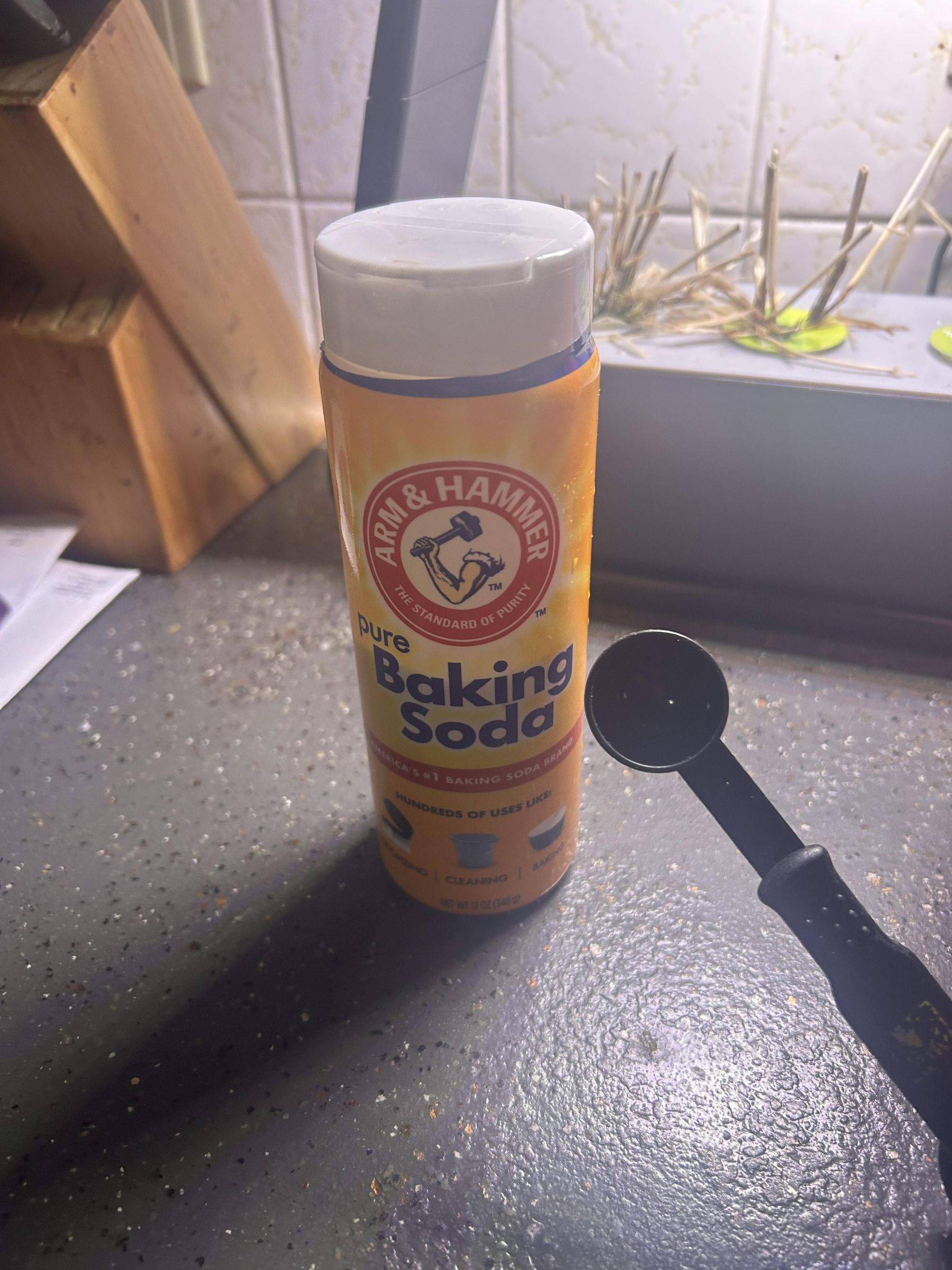 IMG_1975.jpeg