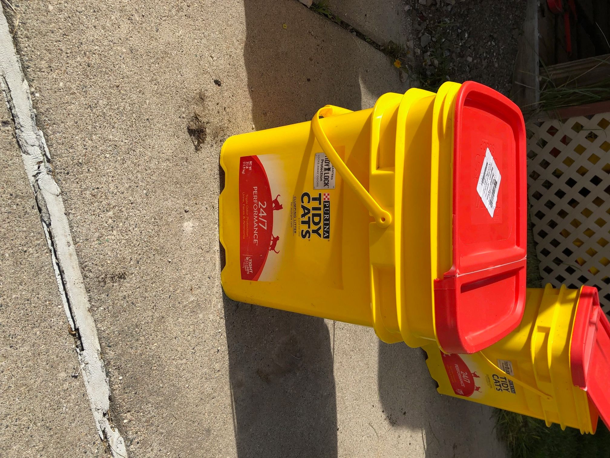 IMG_1983.jpg