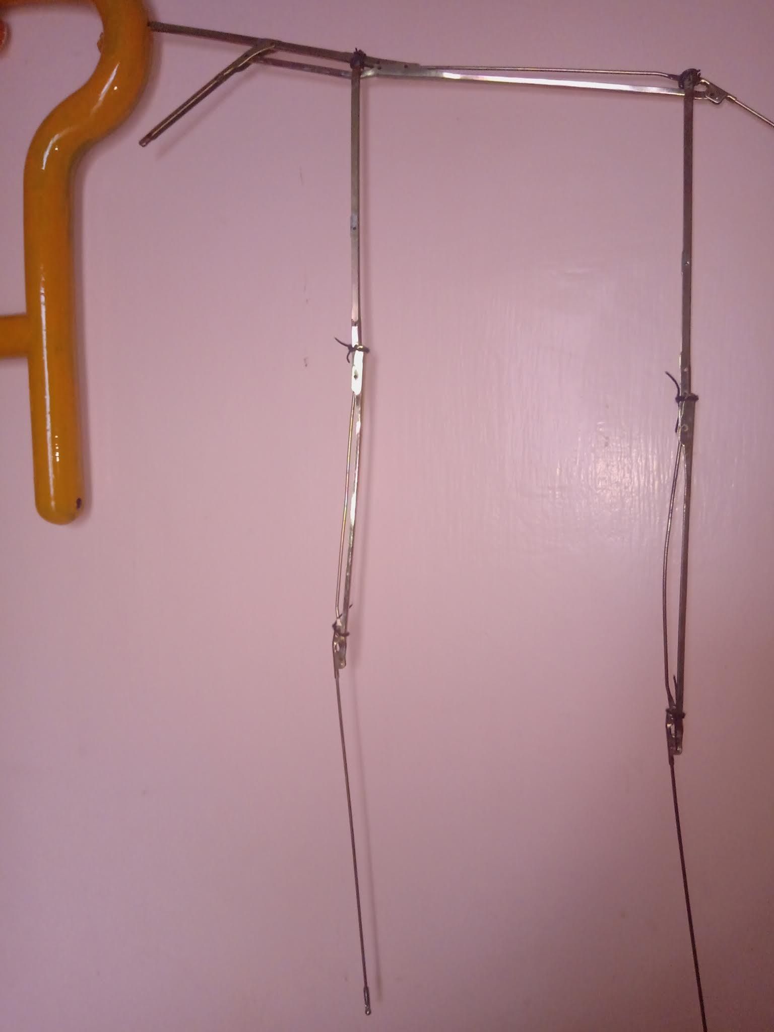 IMG_20200816_065346.jpg