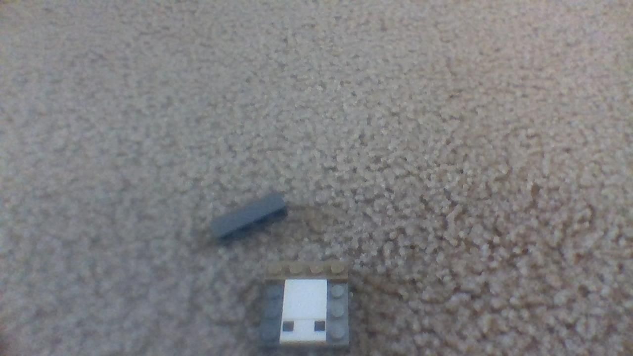 IMG_20201011_095933.jpg