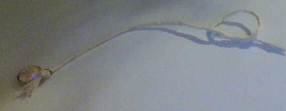 IMG_20210130_200527.jpg