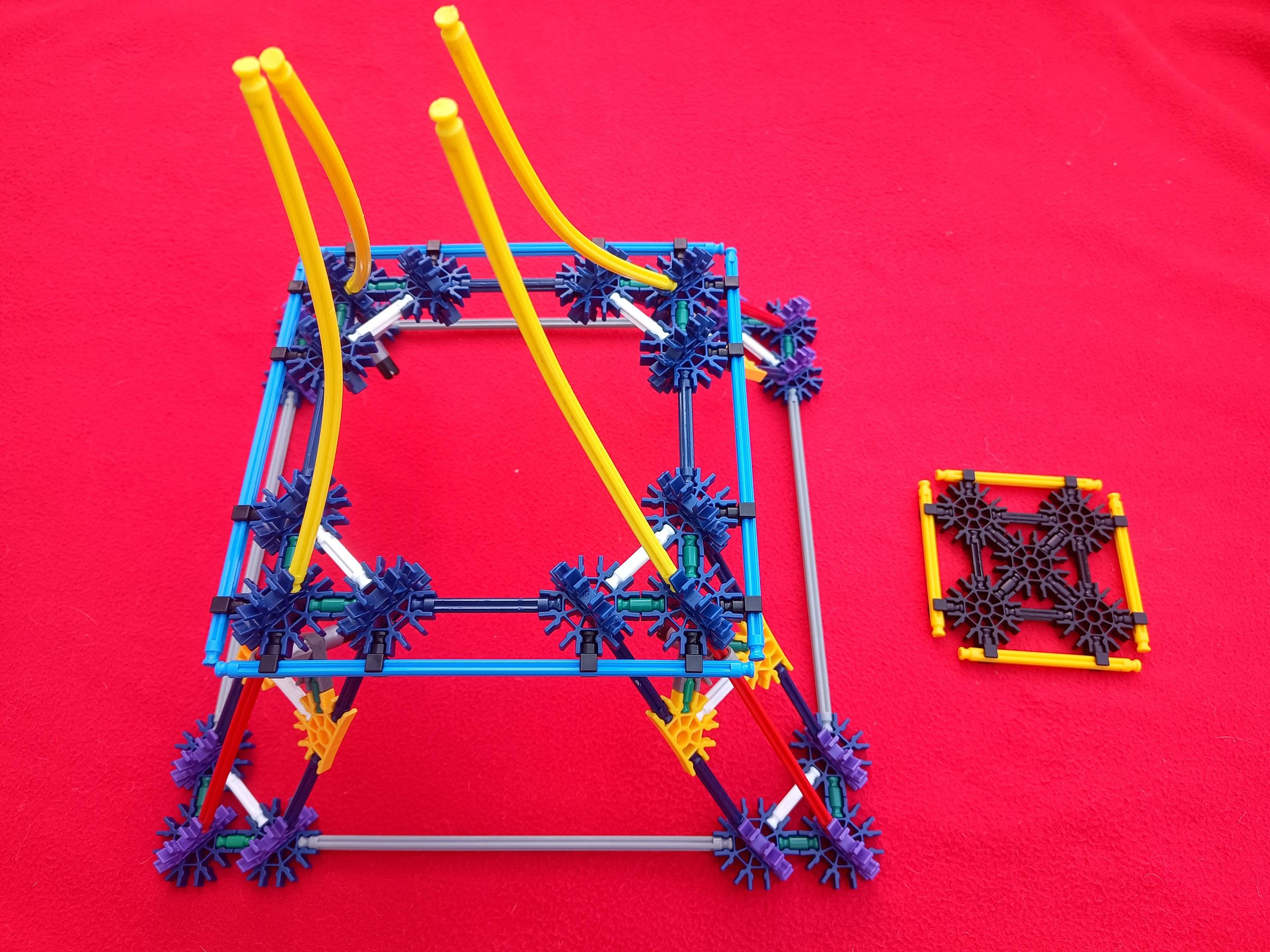 IMG_20251116_124855933.jpg
