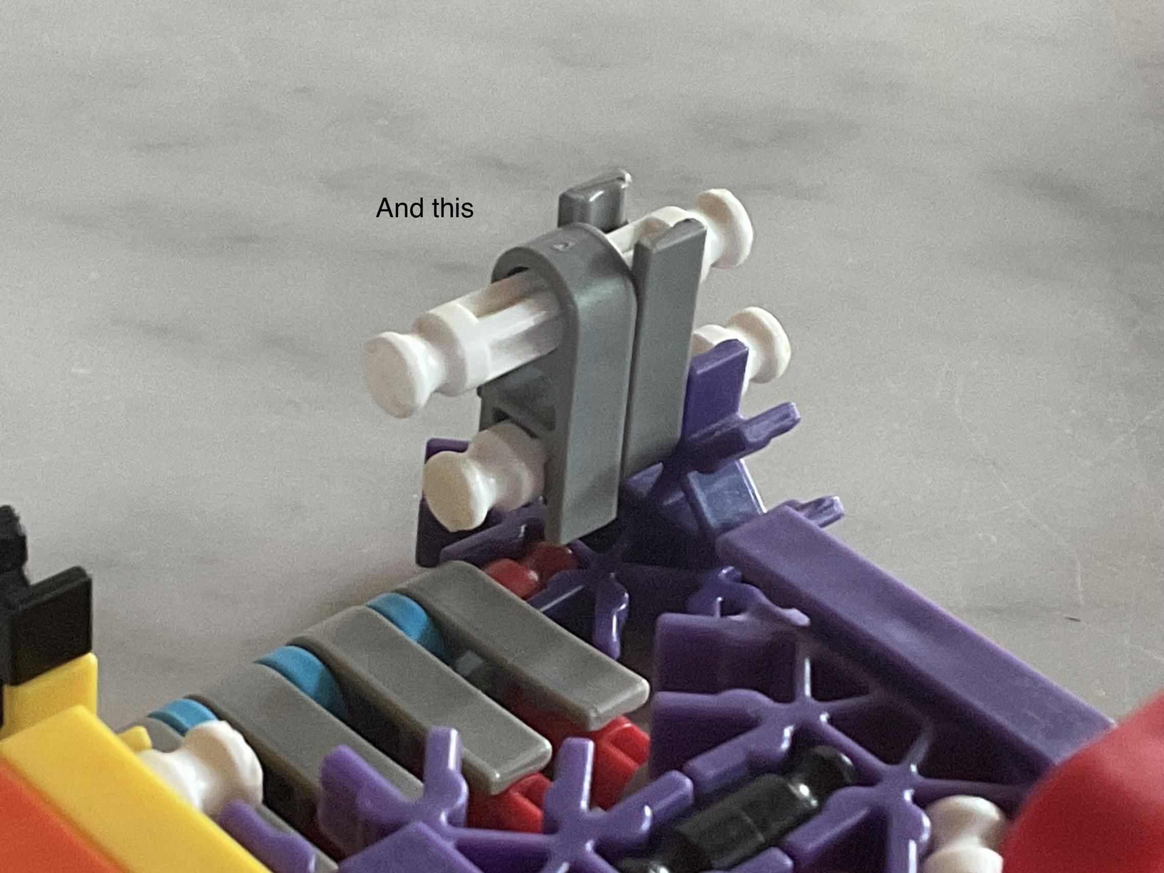 IMG_2519.jpeg