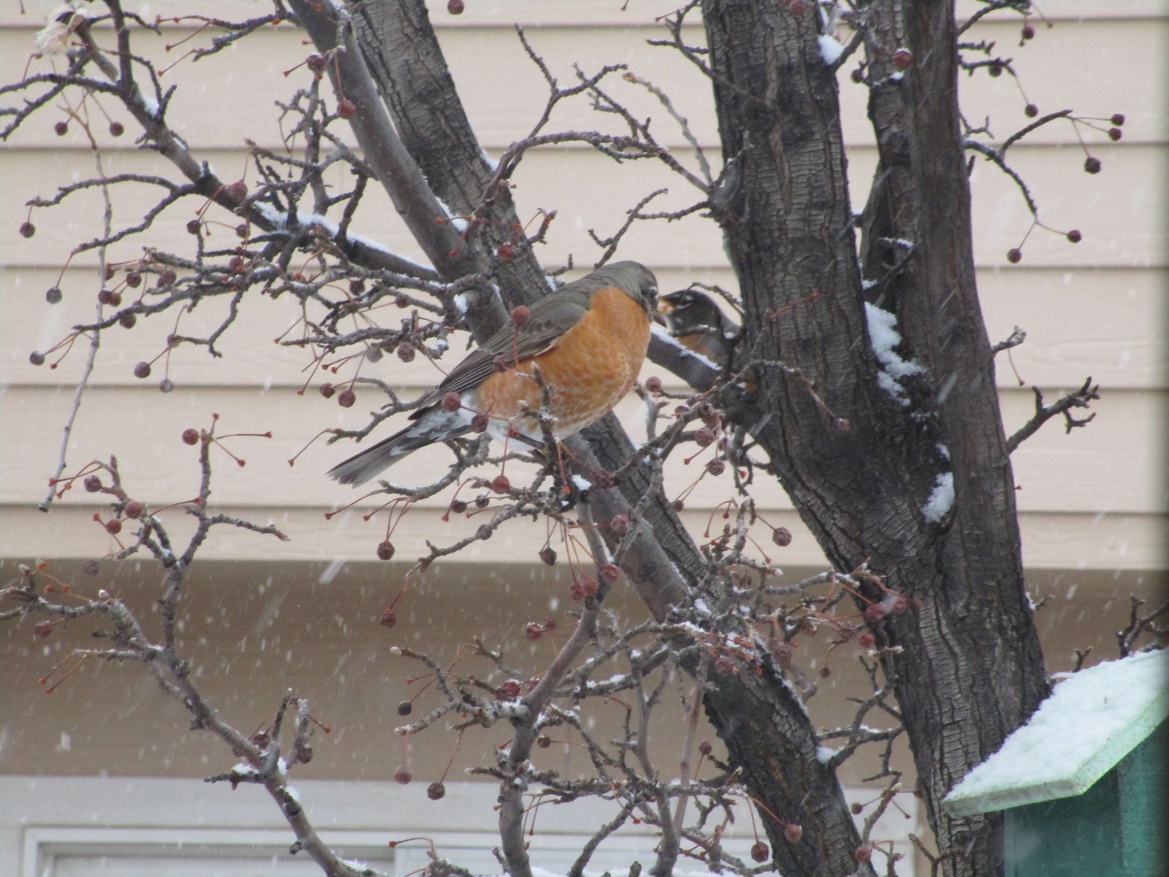 IMG_2952.JPG