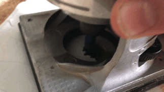 IMG_3028.GIF