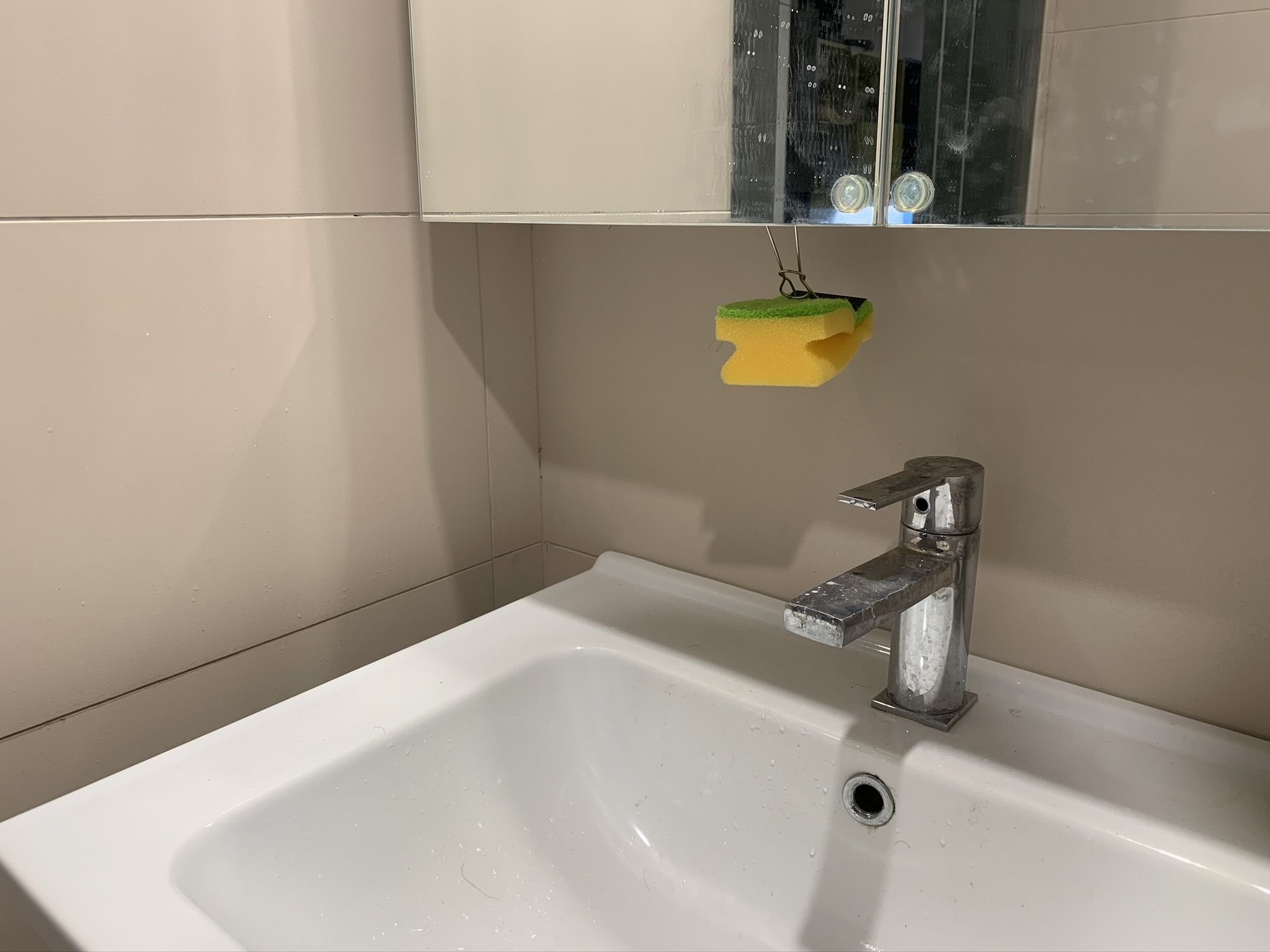 IMG_3207.JPEG